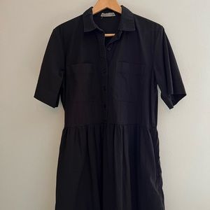 Everlane Parklet Shirtdress